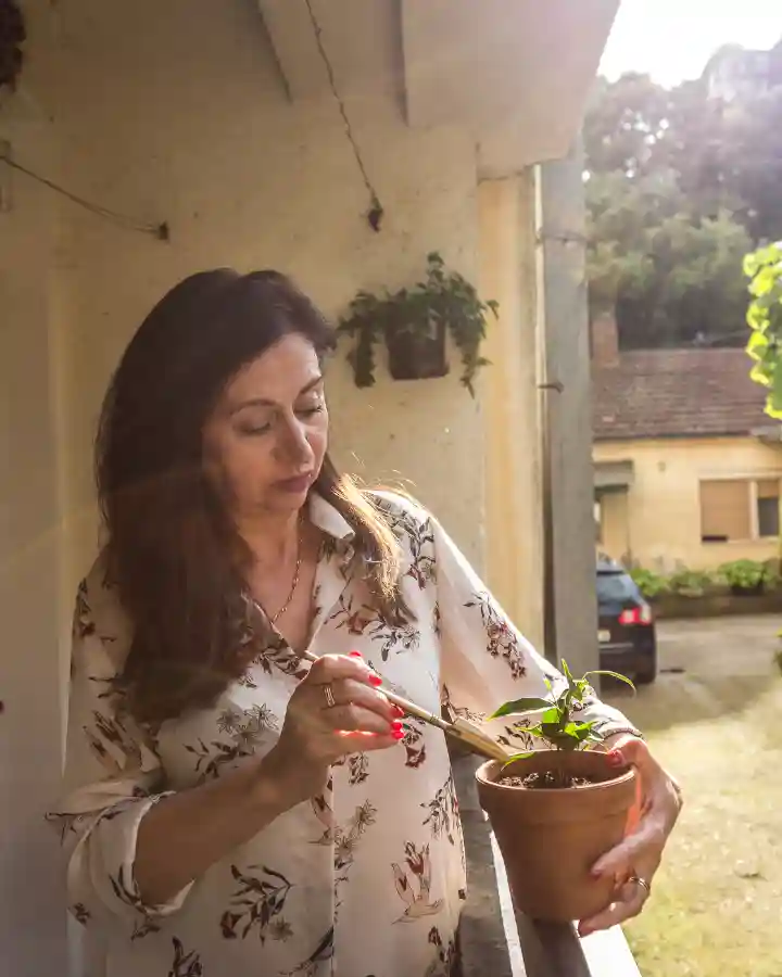 Identificar e cuidar de plantas